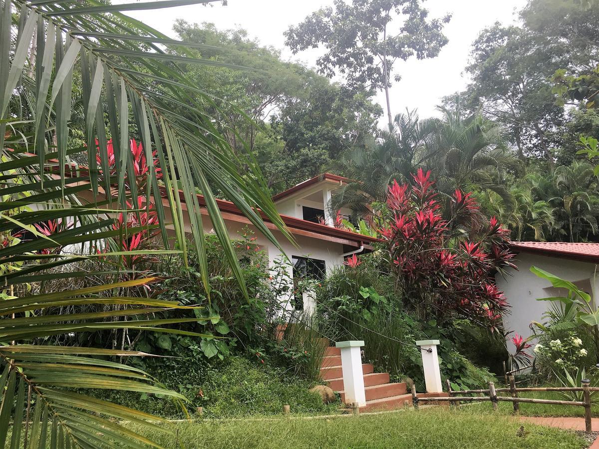 Casa del Toucan Dominical Esterno foto