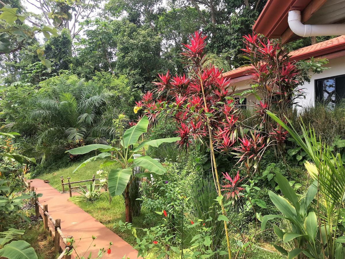 Casa del Toucan Dominical Esterno foto